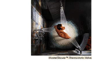 Custom Showering Selections