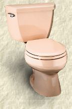Wellworth Toilet