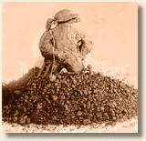 Resident's Gallery Image