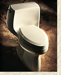 Gabrielle Toilet